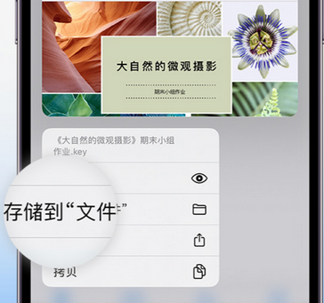 尼勒克apple维修中心分享iPhone文件应用中存储和找到下载文件