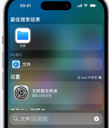 尼勒克apple维修中心分享iPhone文件应用中存储和找到下载文件 