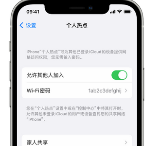 尼勒克apple服务站点分享iPhone上个人热点丢失了怎么办 