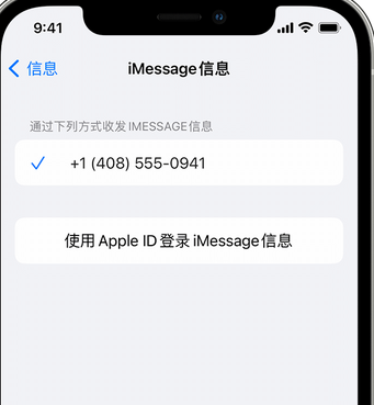 尼勒克apple维修iPhone上无法正常发送iMessage信息