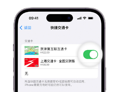 尼勒克apple维修点分享iPhone上更换Apple Pay快捷交通卡手绘卡面 