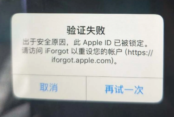 尼勒克iPhone维修分享iPhone上正常登录或使用AppleID怎么办 