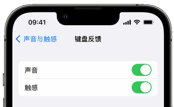 尼勒克苹果手机维修分享iPhone 14触感键盘使用方法 