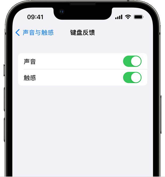 尼勒克苹果14维修店分享如何在 iPhone 14 机型中使用触感键盘 