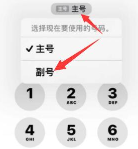 尼勒克苹果14维修店分享iPhone 14 Pro Max使用副卡打电话的方法 