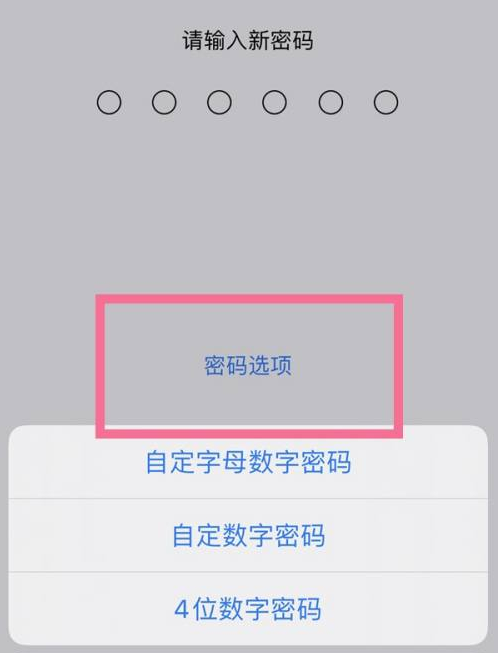 尼勒克苹果14维修分享iPhone 14plus设置密码的方法 