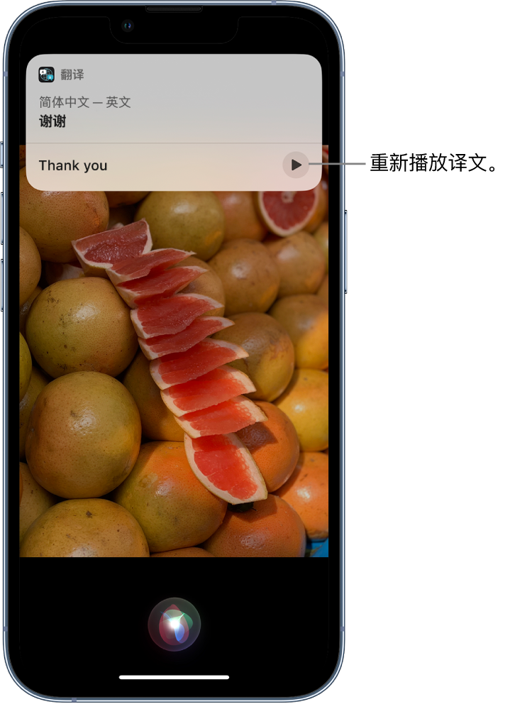 尼勒克苹果14维修分享 iPhone 14 机型中使用 Siri：了解 Siri 能帮你做什么 