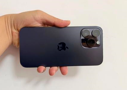 尼勒克苹果维修点分享iPhone 14 Pro Max黑屏少见故障盘点 